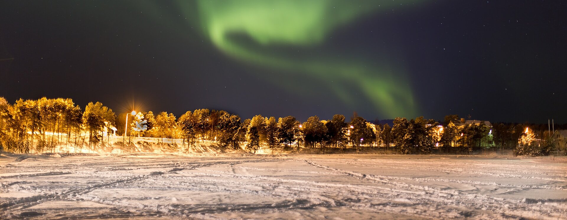 Polarlichter am Nachthimmel über einer angeleuchteten Baumreihe. Auf dem Boden Schnee