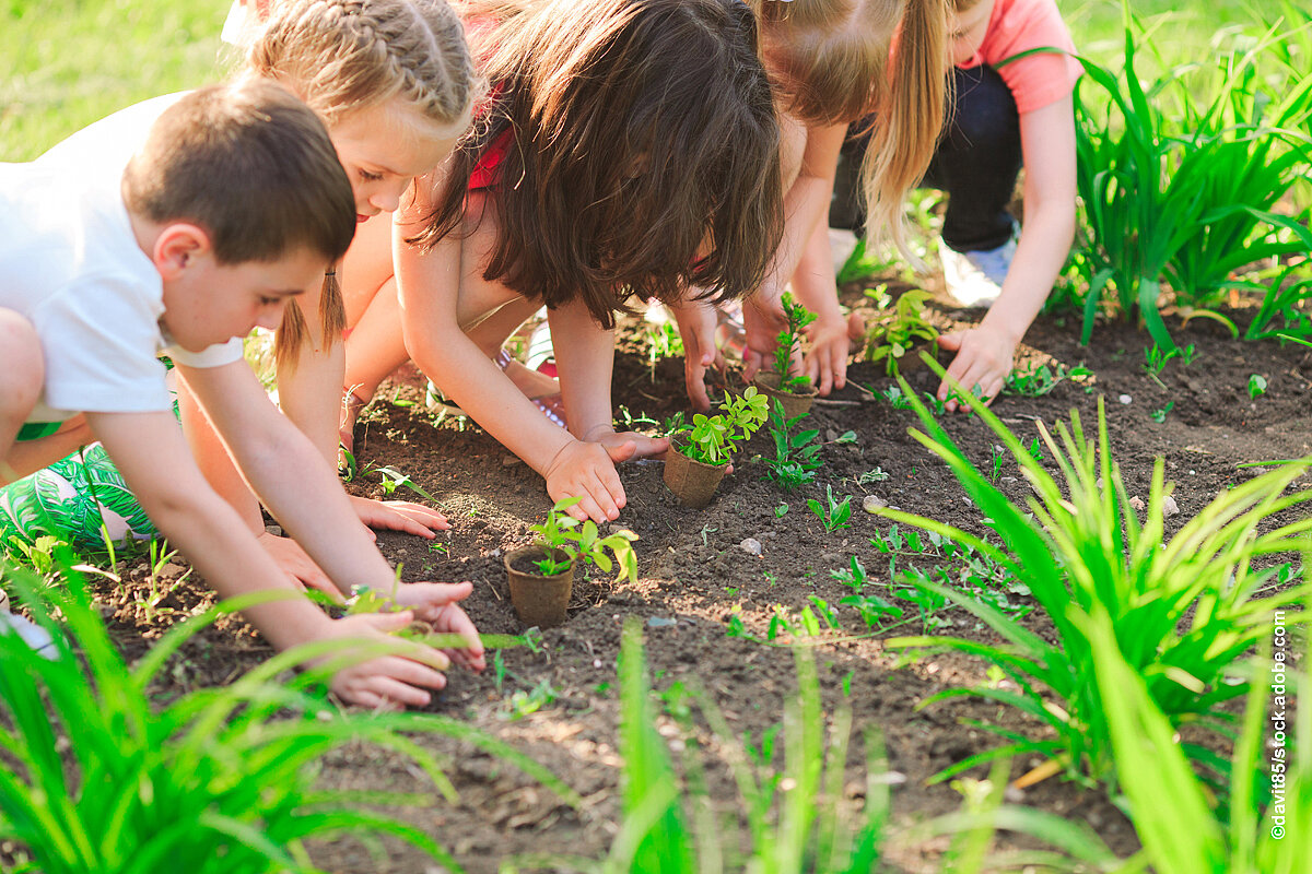 Fünf Kinder, nebeneinander kiend in einem Garten. Sie pflanzen kleine grüne Setzlinge ein.